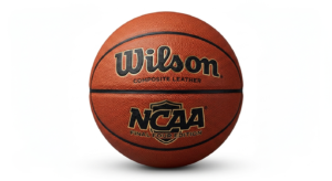 BALON WILSON DE BASKET