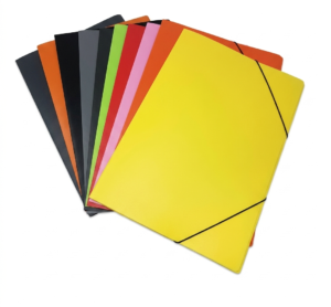 CARPETA DE LIGA